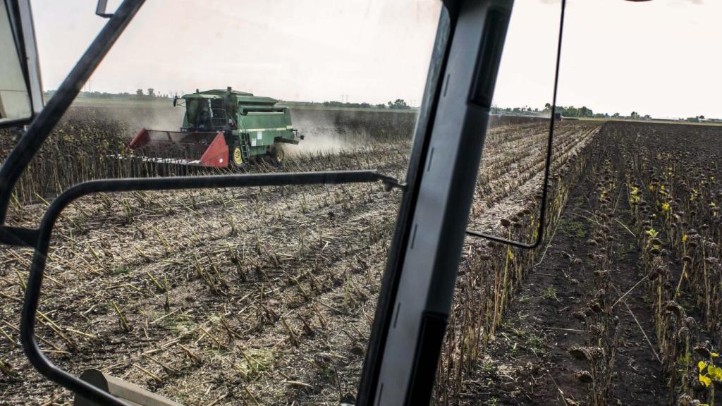 Kedvező változások a közvetlen támogatások 2023. évi szabályaiban