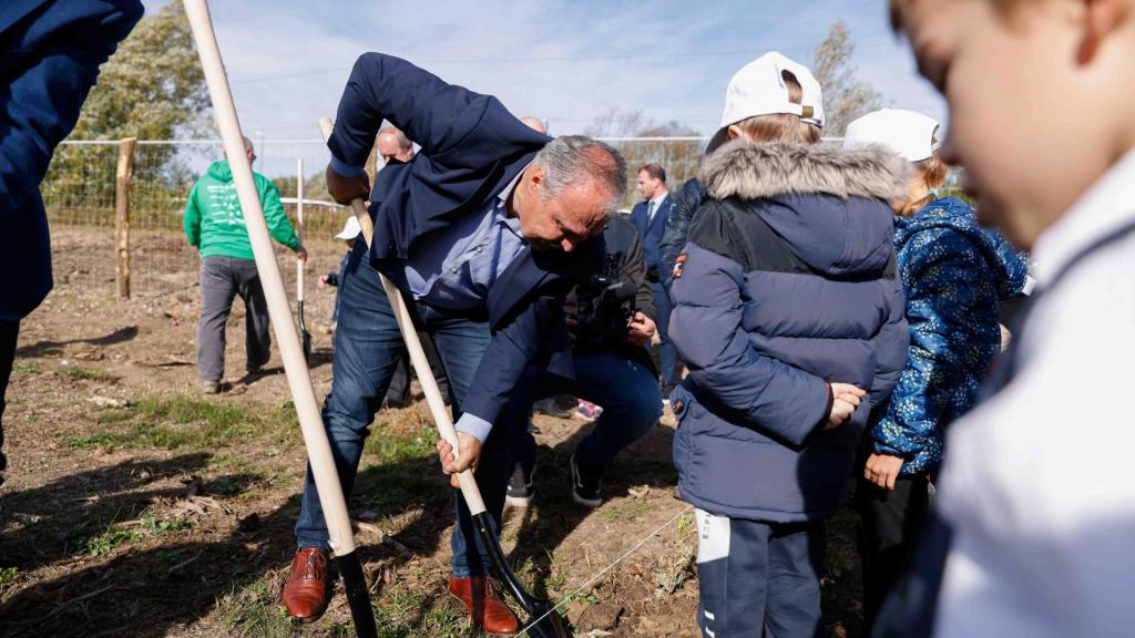 Több mint ötvenezer hektár új erdő telepítésére pályáztak a magyar gazdák