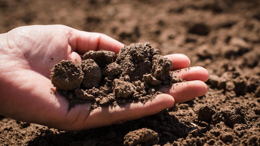 A talaj védelme mindenki számára egyaránt fontos