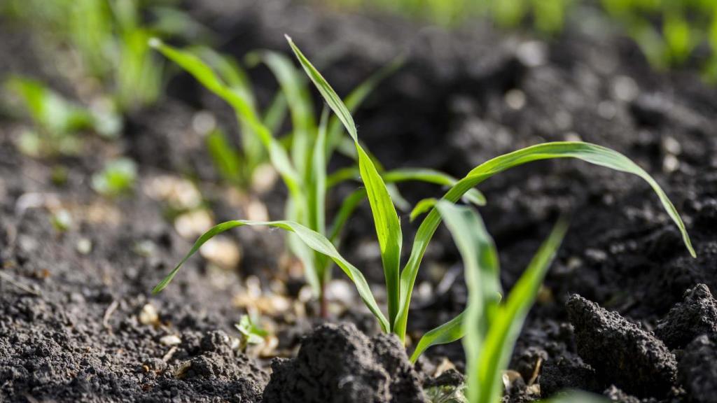 Megkezdődött az agrár-környezetgazdálkodási és ökológiai gazdálkodási támogatások előlegfizetése