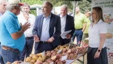 Burgonya termesztési programot indít az Agrártárca