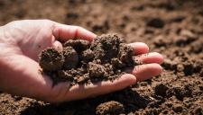 A talaj védelme mindenki számára egyaránt fontos